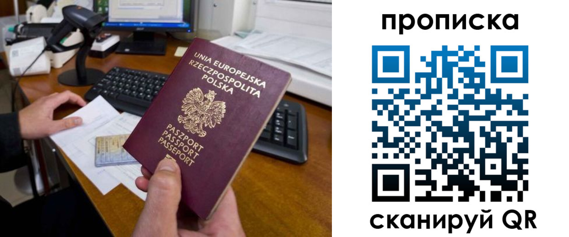 прописка для школы в Заполярном
